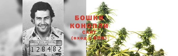 ALPHA PVP Беломорск
